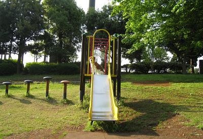 c0084117_14433153.jpg