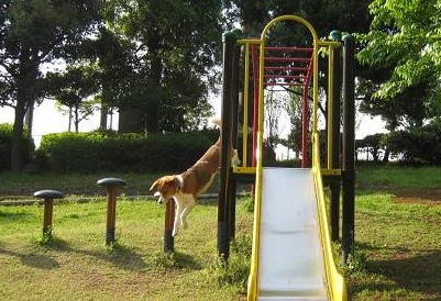c0084117_14435183.jpg