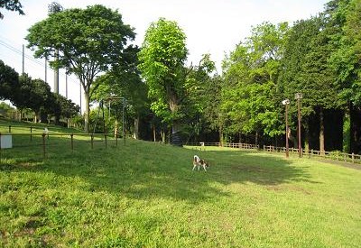 c0084117_1521268.jpg