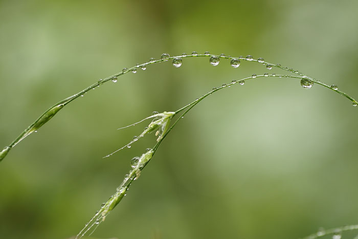 d0089024_18201437.jpg