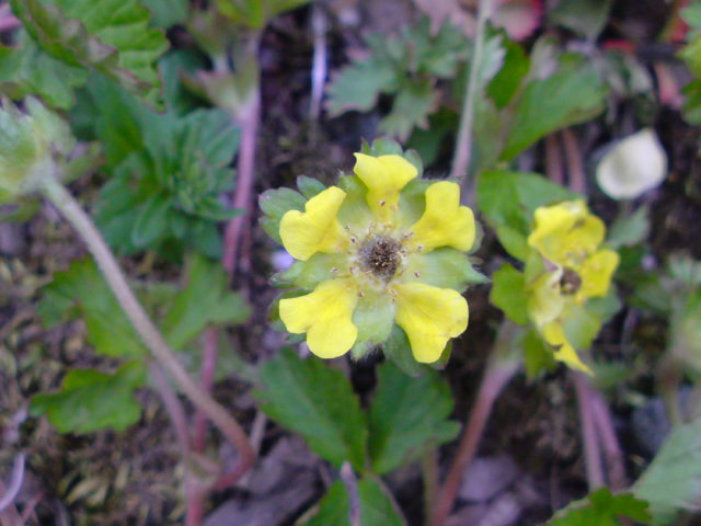 e0016828_23212827.jpg