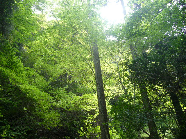 f0023329_10581841.jpg