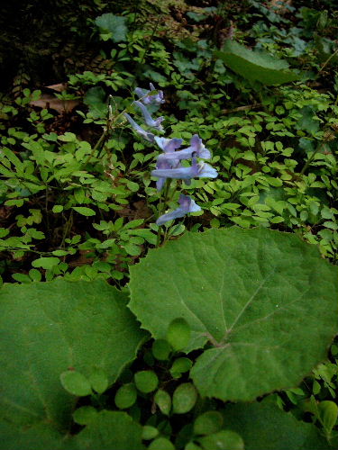 d0075131_0392328.jpg