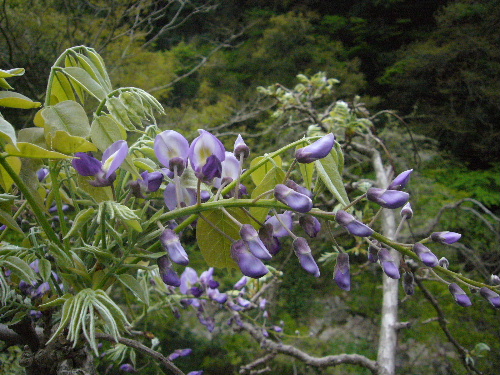 d0075131_044424.jpg
