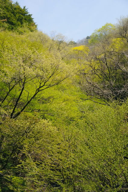 c0133133_15333389.jpg