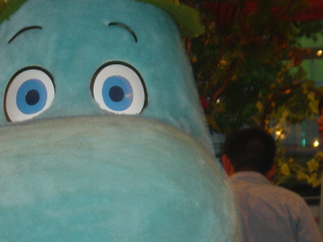 e0144834_2014868.jpg