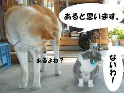 f0008935_1320465.gif