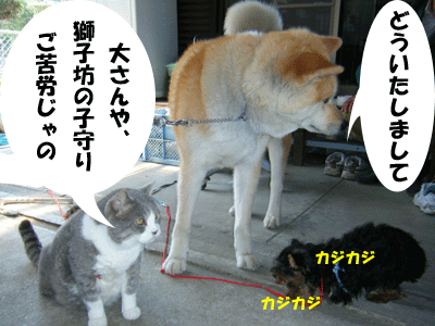 f0008935_1385872.gif