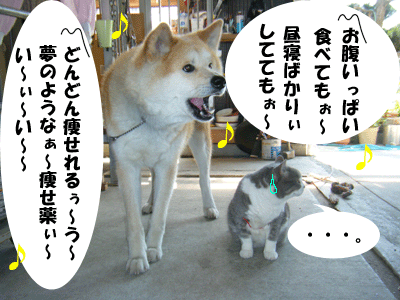 f0008935_1391895.gif