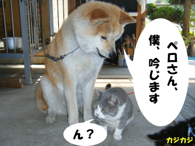 f0008935_139758.gif