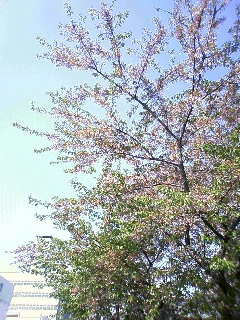 b0006537_8313136.jpg
