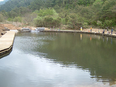 b0174137_14322780.jpg