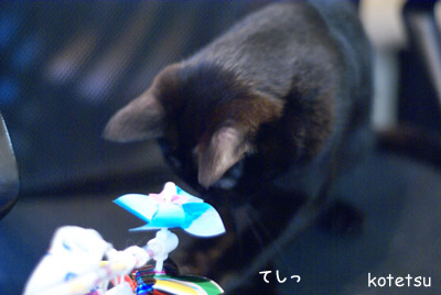 c0132438_2136791.jpg
