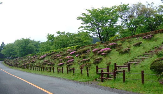 b0149340_2033363.jpg