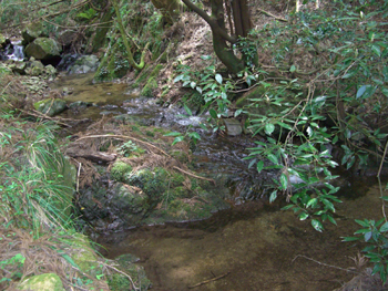 e0110940_047817.jpg