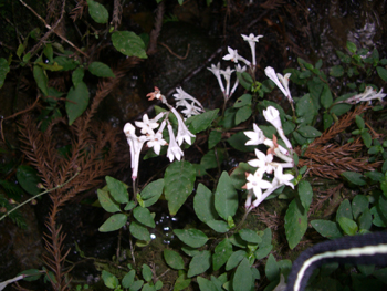 e0110940_048129.jpg