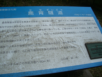e0110940_0493660.jpg