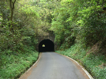 e0110940_0495078.jpg