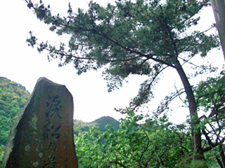 e0110940_2214656.jpg