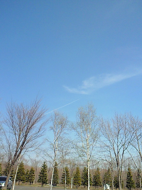 c0042941_8455848.jpg