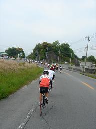 f0060943_1339446.jpg