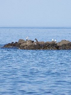 f0045846_8273798.jpg