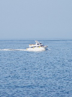 f0045846_8403423.jpg