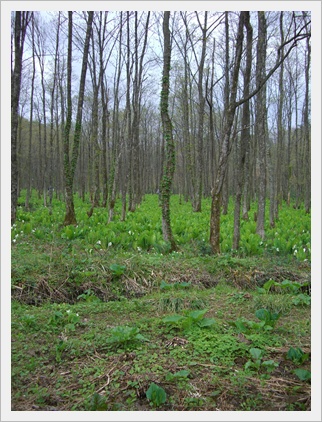 f0072846_23273535.jpg