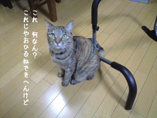 f0116546_220023.gif