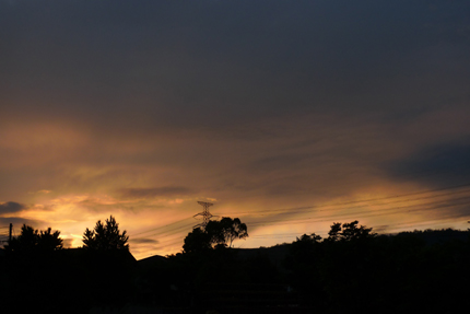 b0148547_20334760.jpg