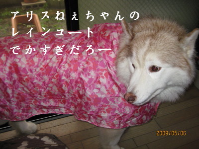 e0121548_1011343.jpg