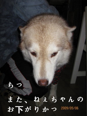 e0121548_8584148.jpg