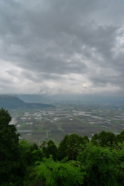 b0016049_129020.jpg
