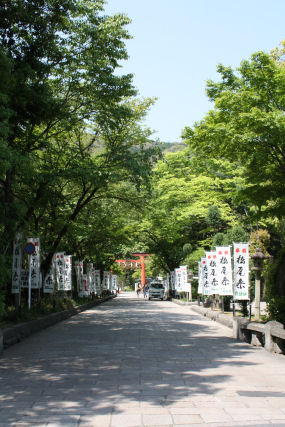 c0073649_1031716.jpg