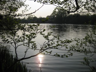 e0018350_350329.jpg