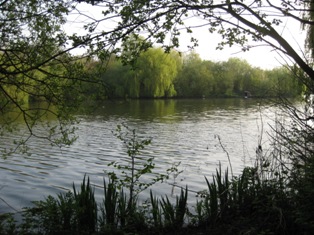 e0018350_3504645.jpg
