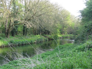 e0018350_3511568.jpg