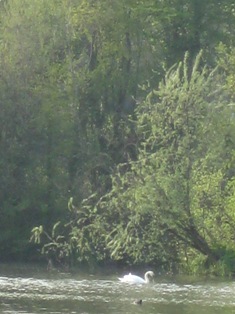 e0018350_3523483.jpg