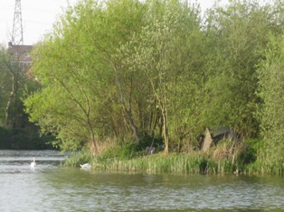 e0018350_3582851.jpg