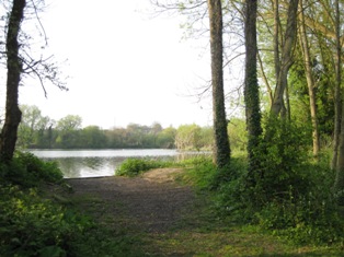 e0018350_3584773.jpg
