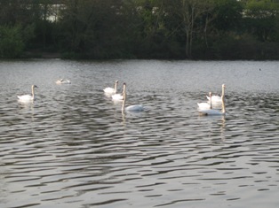 e0018350_3591485.jpg