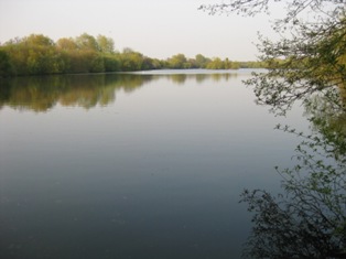 e0018350_4143374.jpg