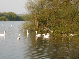 e0018350_421948.jpg