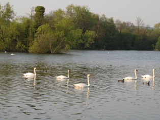 e0018350_42242.jpg
