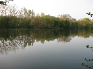 e0018350_43533.jpg