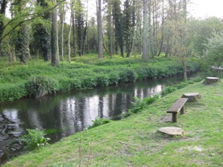 e0018350_475616.jpg