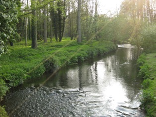 e0018350_481181.jpg