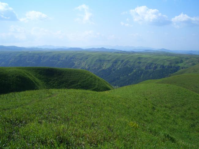 b0002156_21335161.jpg
