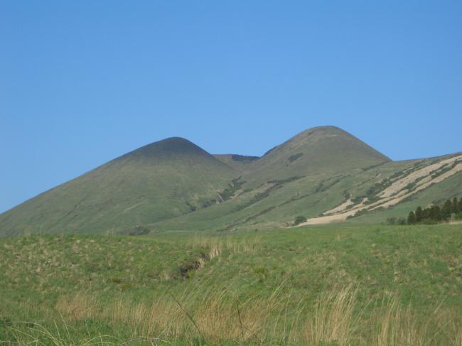 b0002156_2154393.jpg