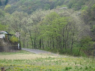 d0034659_23152137.jpg